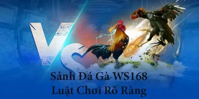 Hướng Dẫn Cách Chơi Đá Gà WS168 Tại i9BET Hiệu Quả 1 Hướng Dẫn Cách Chơi Đá Gà WS168 Tại i9BET Hiệu Quả
