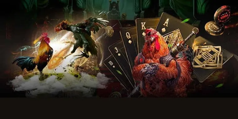 Hướng Dẫn Cách Chơi Đá Gà GA28 Tại i9BET Hiệu Quả Nhất