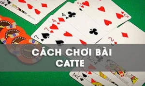 Hướng Dẫn Chi Tiết Cách Chơi Sắc Tê Tại Nhà Cái i9BET 4 Hướng Dẫn Chi Tiết Cách Chơi Sắc Tê Tại Nhà Cái i9BET